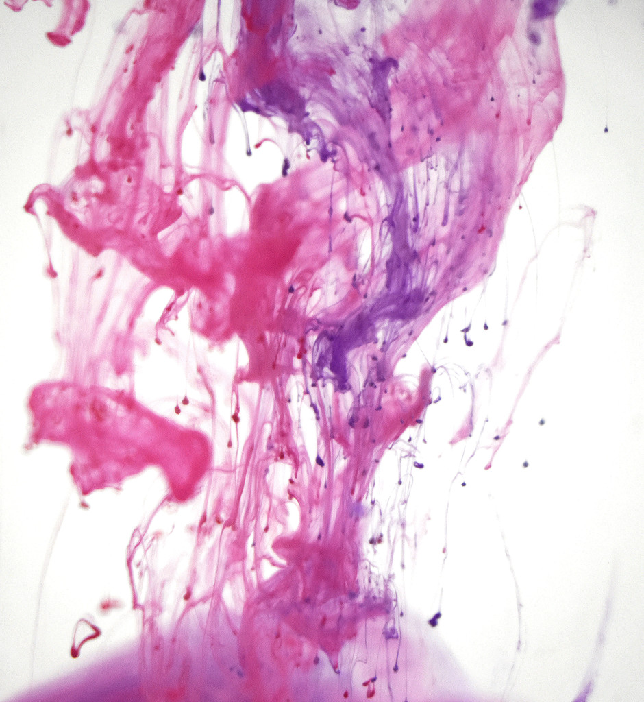 Pink & Purple Ink 2 by homeschoolmom
