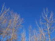 26th Feb 2021 - Azure blue skies...