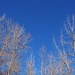 Azure blue skies... by marlboromaam