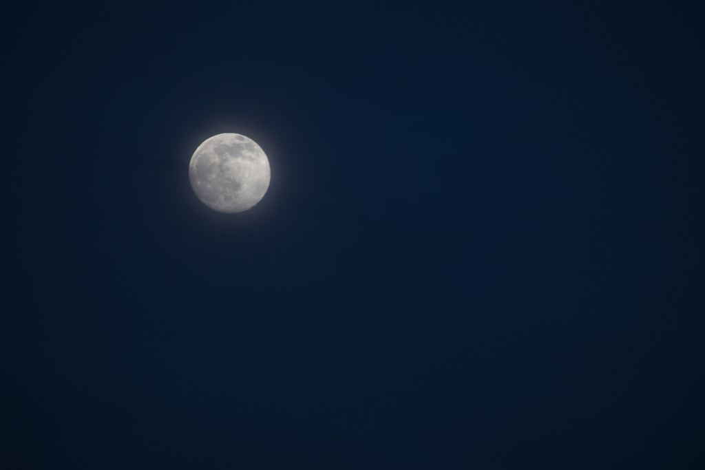 Evening Moon by bjywamer