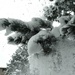Falling Snow by harbie
