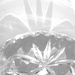 Crystal Bowl by 30pics4jackiesdiamond