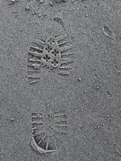 26th Feb 2021 - Footprints 