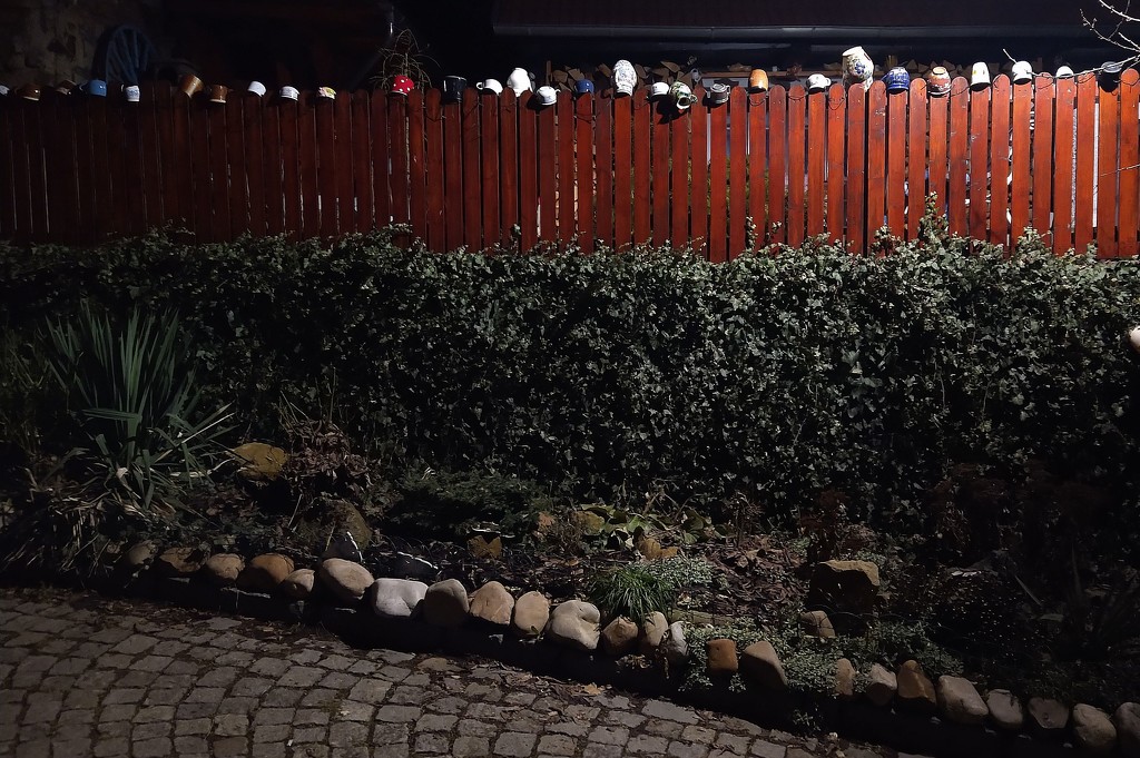 Night Scene: A Fence with Cups. by kclaire