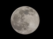 26th Feb 2021 - Full Moon Friday