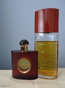 20th Jan 2011 - Perfume