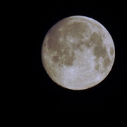 26th Feb 2021 - Full moon