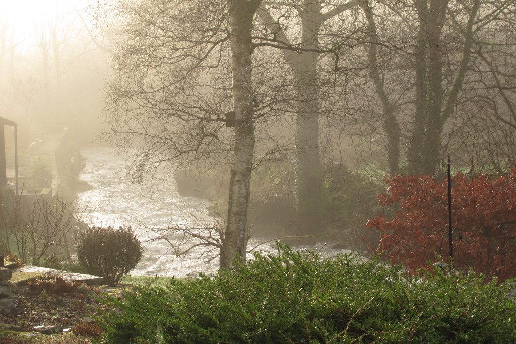 misty river by anniesue