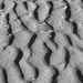 Ripples In The Sand DSC_3864 by merrelyn