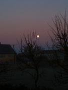 1st Mar 2021 - Full Moon in the morning