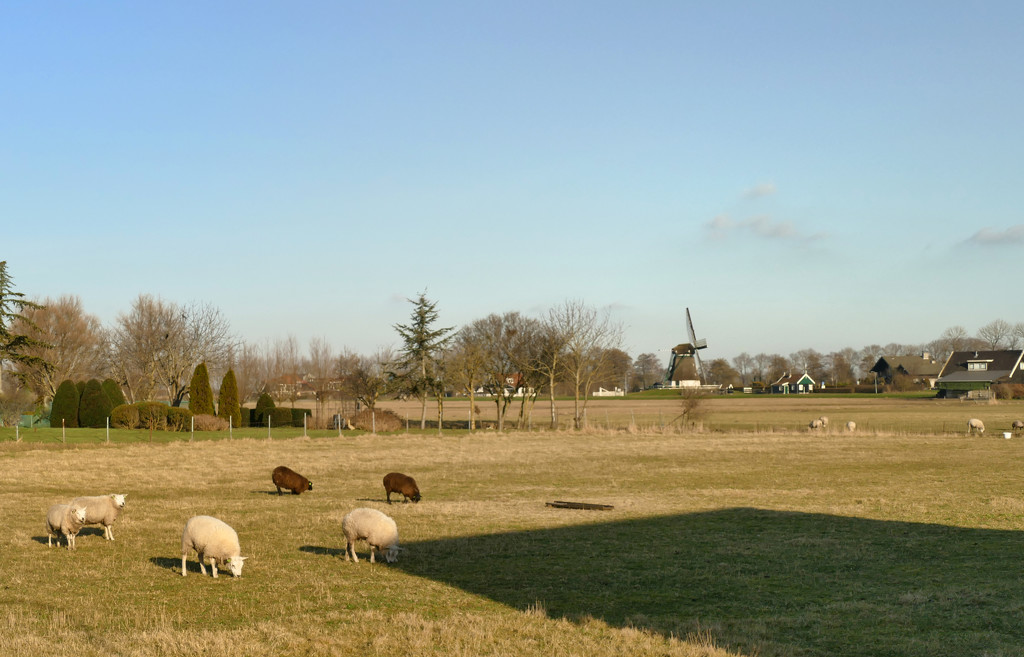 Dutch landscape by marijbar