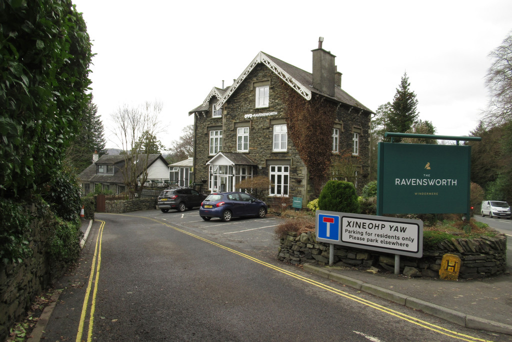 a helpful road in Windermere  by anniesue