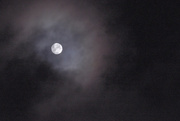 27th Feb 2021 - 4 a.m. Moon Over Montana