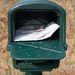 I've got mail by randystreat