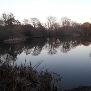 27th Feb 2021 - Sunset at balancing pond.