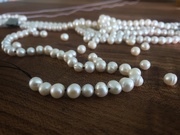 28th Feb 2021 - Pearls