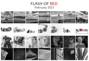 28th Feb 2021 - Flash of Red Calendar 2021
