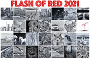 28th Feb 2021 - Extras album - Flash of Red 2021