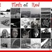 Flash of Red by 30pics4jackiesdiamond