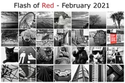 1st Mar 2021 - Flash of Red 2021