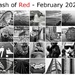 Flash of Red 2021 by 4rky