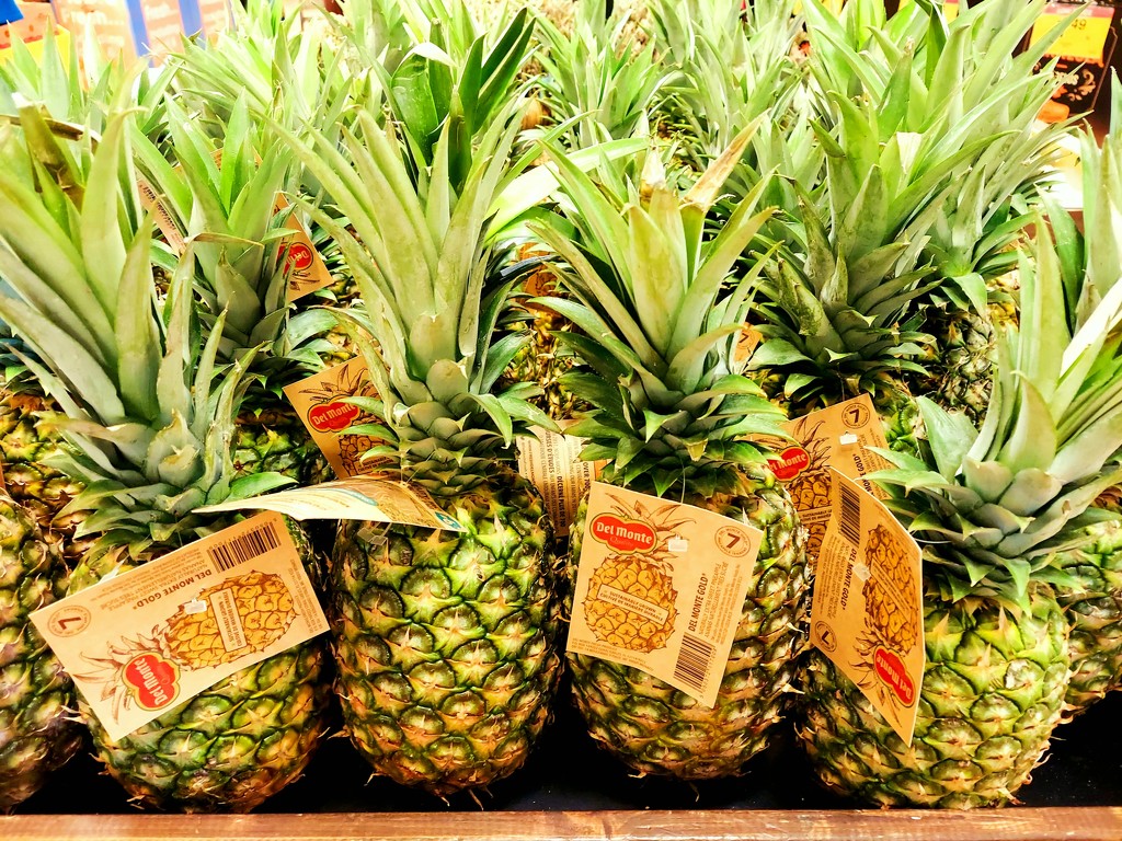 Pineapples  by harbie