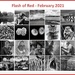 Flash of Red - February 2021 by judithdeacon