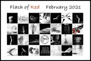 28th Feb 2021 - Flash of Red Feb 2021