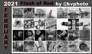 28th Feb 2021 - Flash of Red