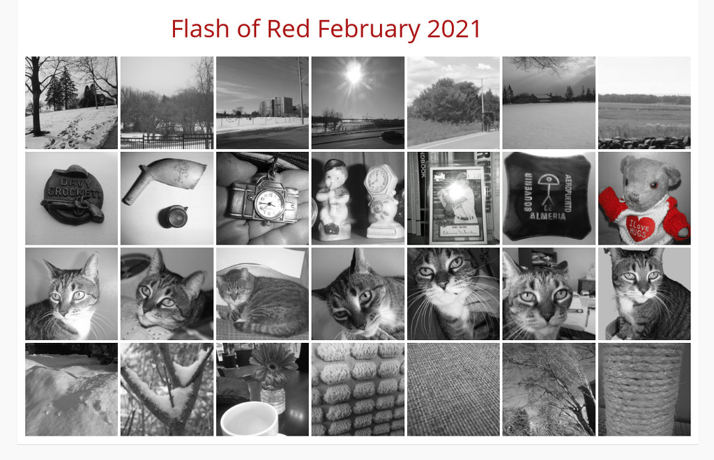 Flash of Red Calendar by spanishliz