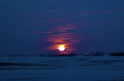 26th Feb 2021 - Moon Rising