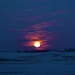 Moon Rising by lynnz