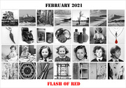 1st Mar 2021 - Flash of Red