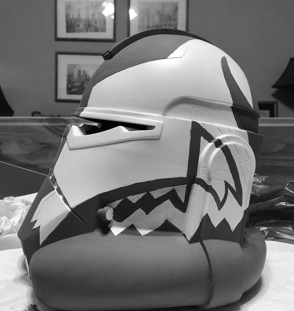 B&W Helmet by homeschoolmom