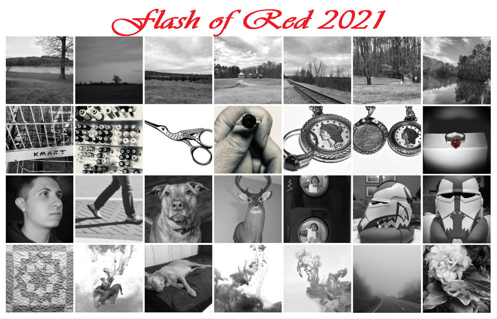 Flash of Red 2021 by homeschoolmom