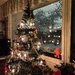 Christmas tree IMG_20210111_055730 by annelis