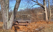 1st Mar 2021 - Picnic table by the lake
