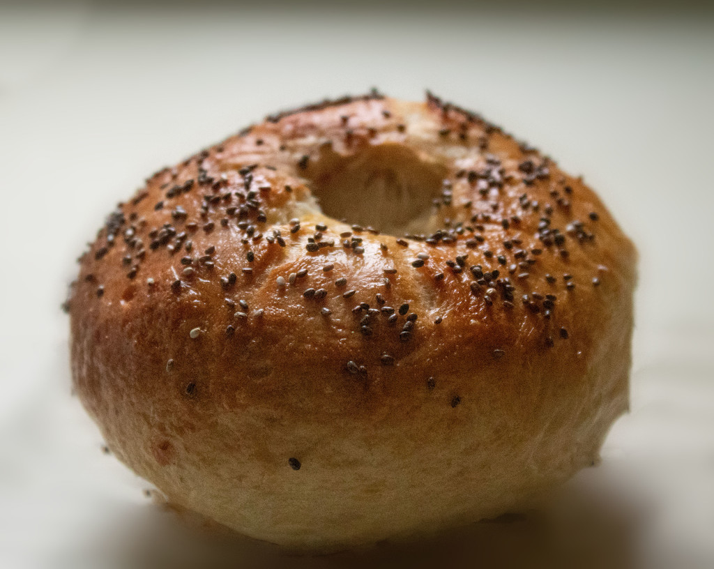 Homemade Bagel by tdaug80