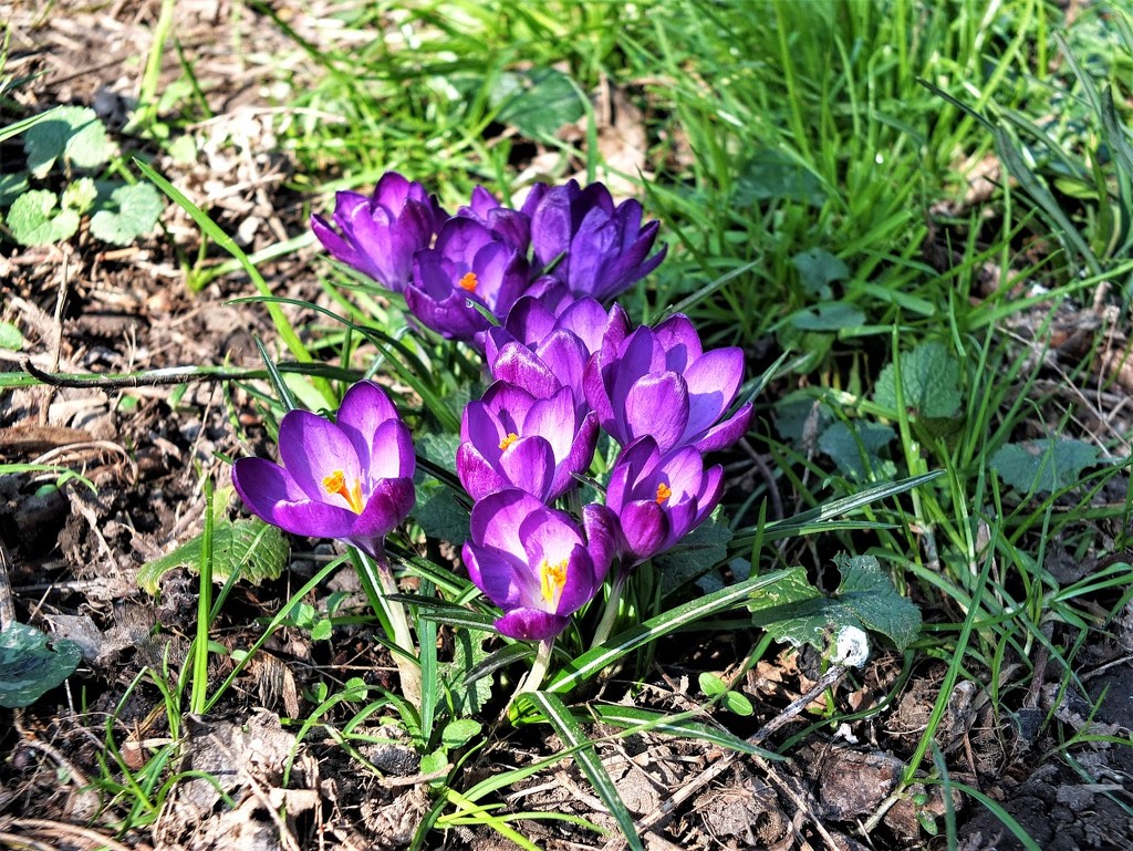 Spring is on it's way! by bigmxx