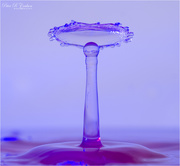 1st Mar 2021 - Purple Water