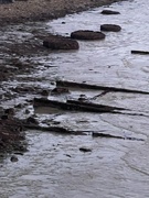 1st Mar 2021 - A very low tide