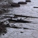 A very low tide by bill_gk