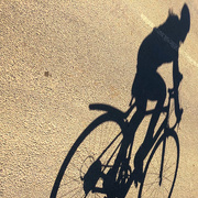 28th Feb 2021 - Shadow Cycling 