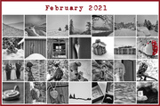 1st Mar 2021 - Flash of Red 2021