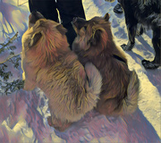 1st Mar 2021 - Teddy and Bear 