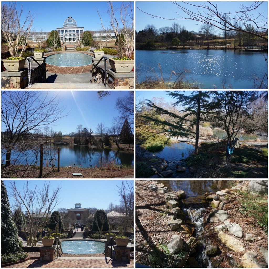 Water Features at Lewis Ginter by allie912