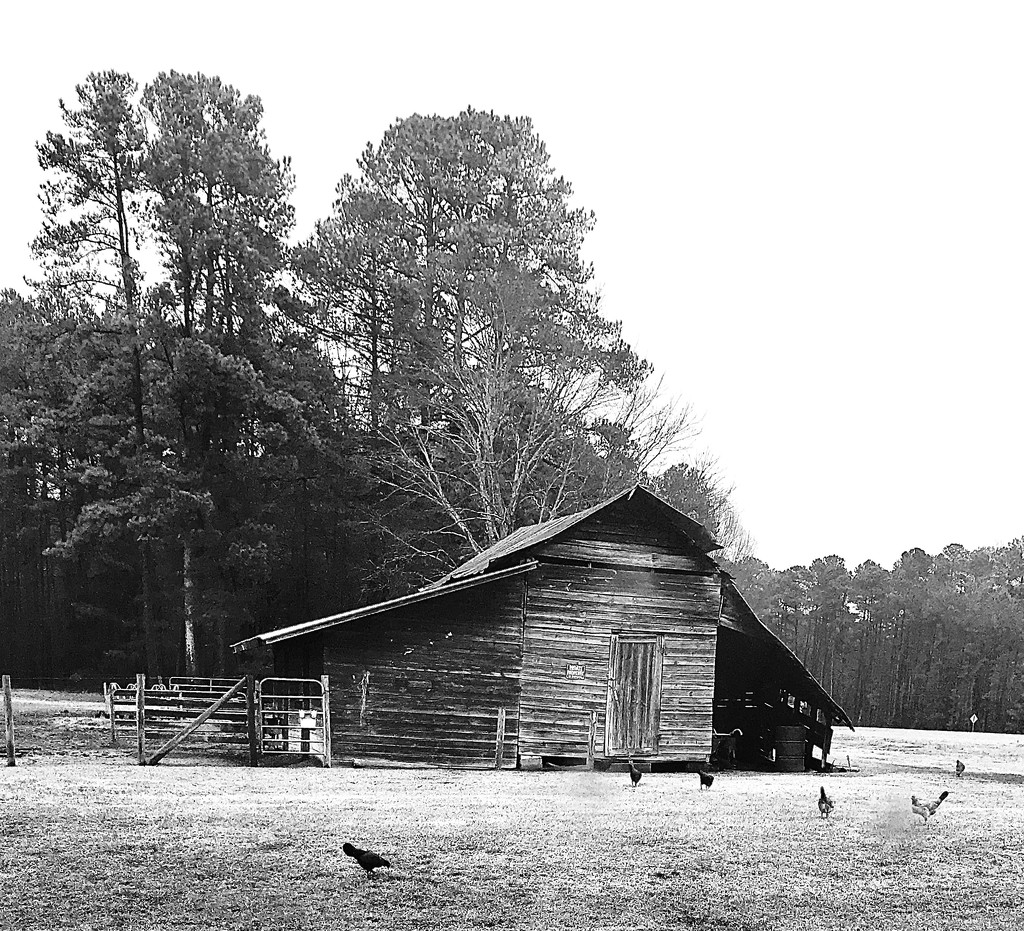 Country NC by charlescoxphotography