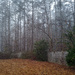 A foggy morn in January... by marlboromaam