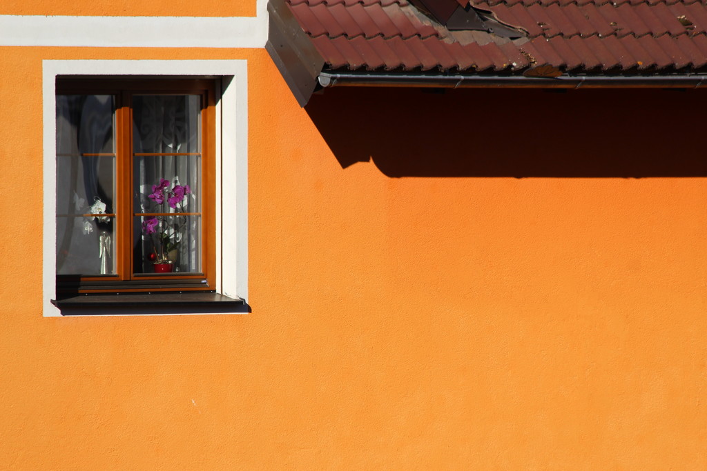 Orange Tuesday by lucien