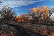 2nd Mar 2021 - Almost sunset along Poudre River Trail